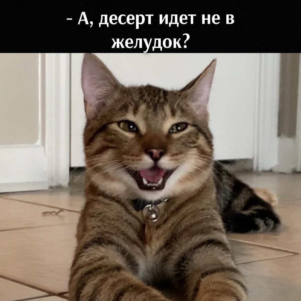       - 1  2021  15:04 - 2