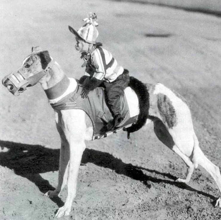  1930-  -       - 3