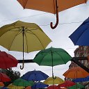  , , 47  -  27  2022     .