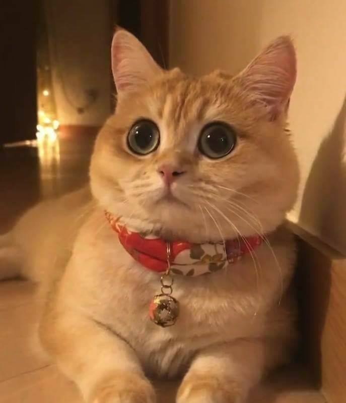 - ,    !? -  !!! - ..     ... - 3