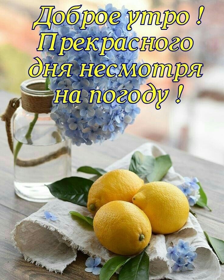   ,    . - 13  2021  12:28