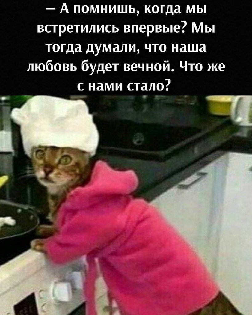       - 16  2021  15:32