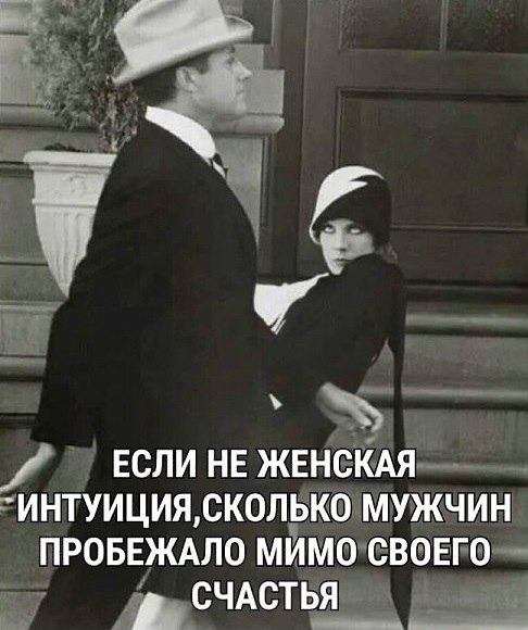 - Вчера к нам во двор зашел чей-то породистый пес. По дорогому ошейнику и ухоженному виду я понял, ...