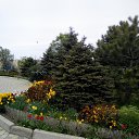 ���� ����, ������, 65 ��� - ��������� 25 ������ 2021 � ������ �25.04.2021 ������� �����������, ������