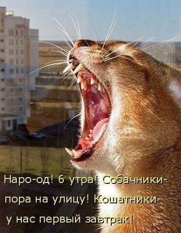    - 14  2021  11:18