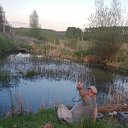 ���� �������, ����, 45 ��� - ��������� 1 �������� 2021 � ������ ���� ����������