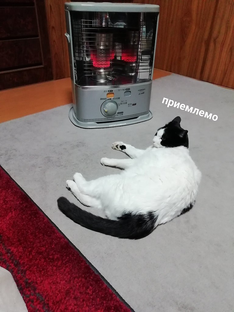��������. ����� ���������� ������������. - 2