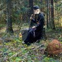 ���� Andrey, ��������, 42 ���� - ��������� 14 ���� 2021 � ������ ���� ����������