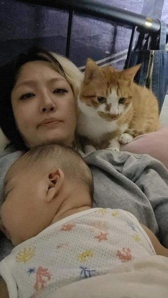 Кажется кот, больше ждал рождения ребенка, чем мы))) - 4
