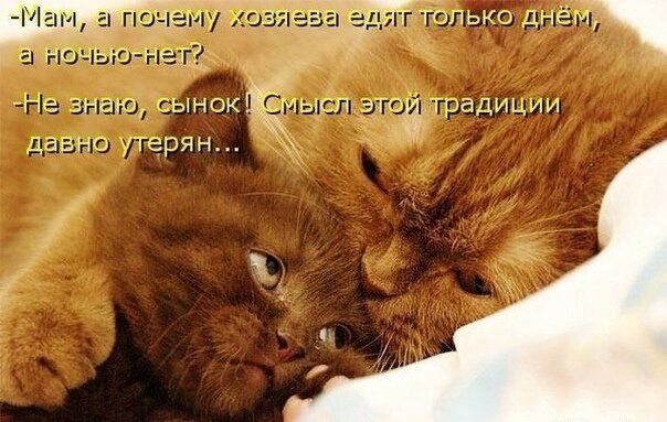    - 23  2021  18:13
