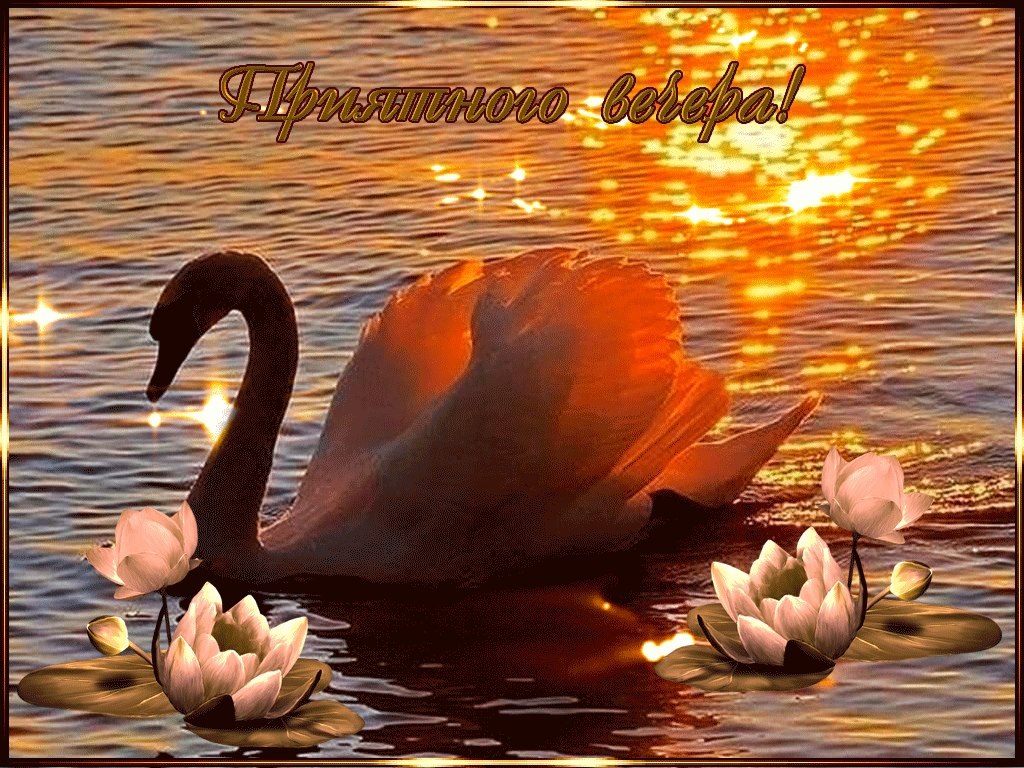   ,    . - 26  2021  19:26 - 5