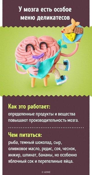 15 проверенных способов улучшить работу мозга - 9