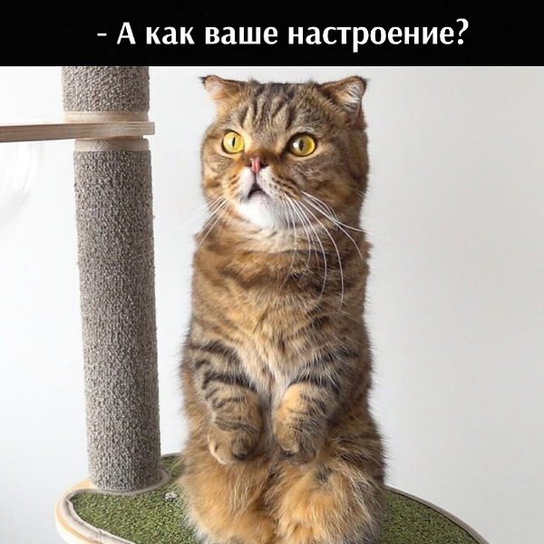       - 17  2021  11:18 - 3