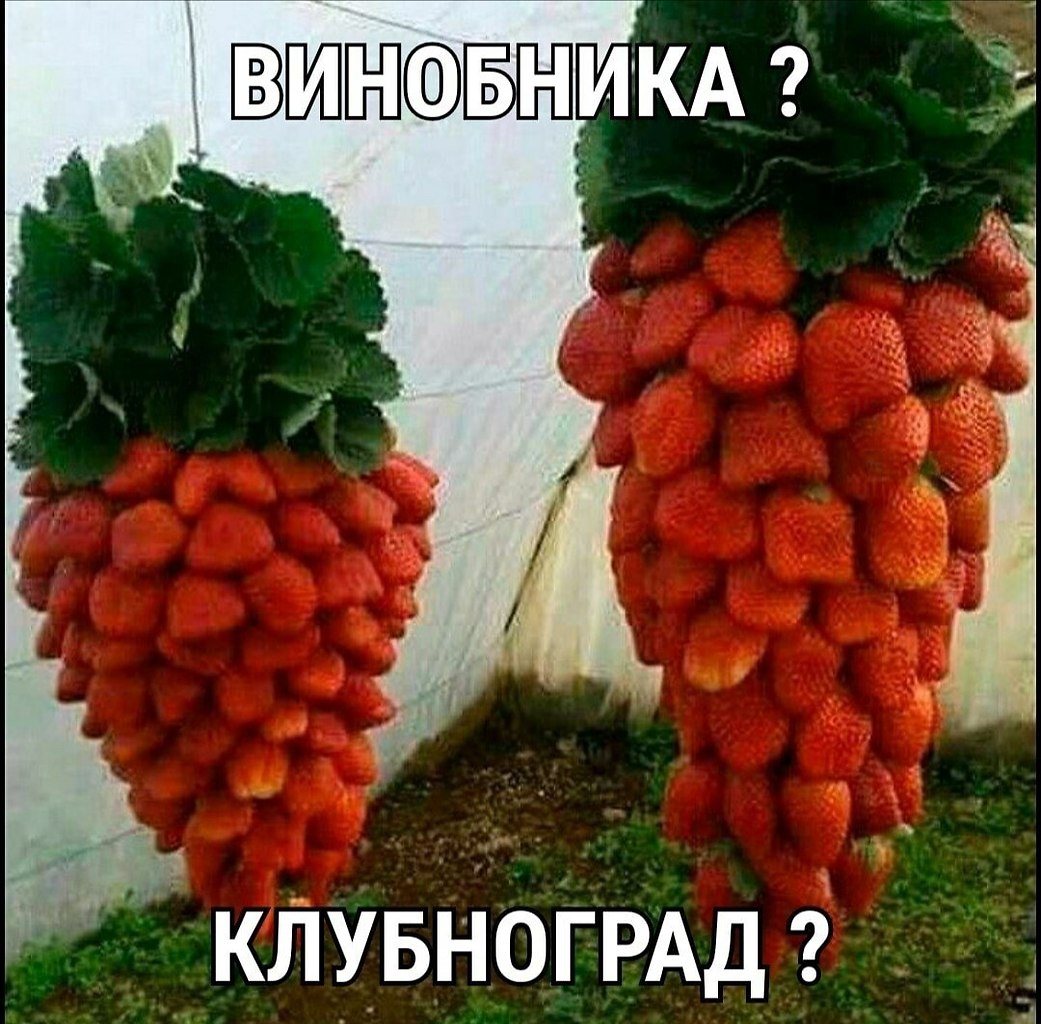   ! - 17  2021  13:14