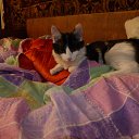 ���� Sergey, ����-�����������, 50 ��� - ��������� 21 ���� 2021 � ������ ���� ����������