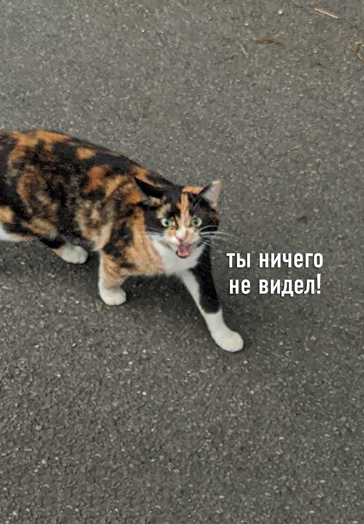  - 12  2021  21:17 - 2