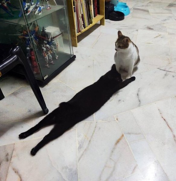 :    