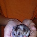 ���� �����, �����������, 45 ��� - ��������� 16 ��� 2021 � ������ ������ ��������