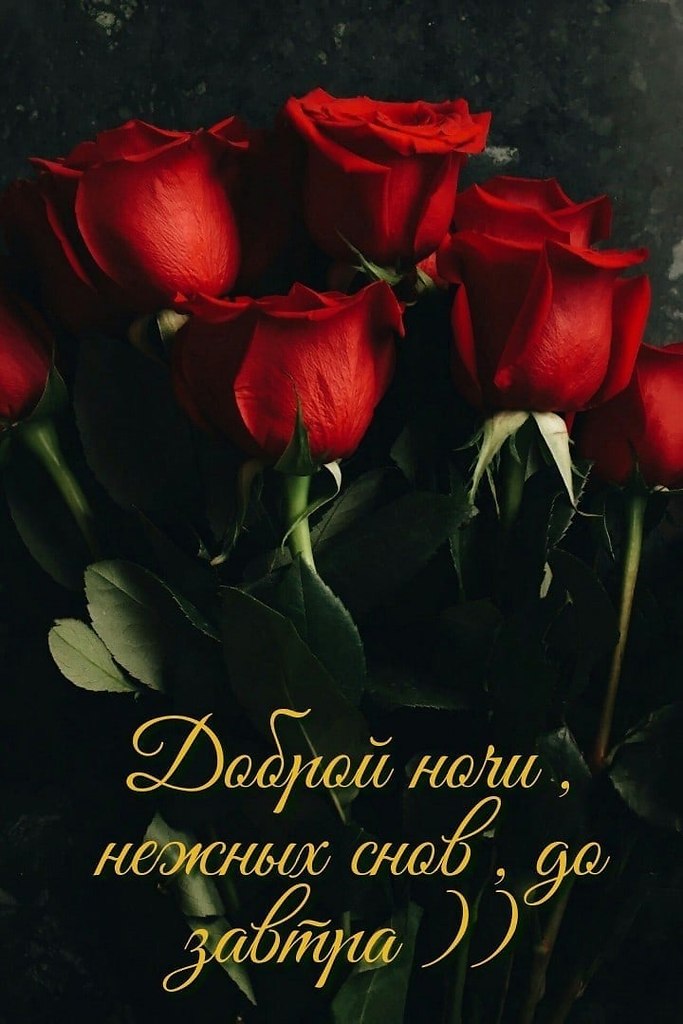   ,    . - 6  2021  22:59 - 8