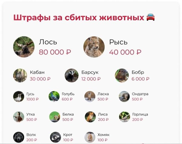 Неплохие такие расценки, особенно за голубя