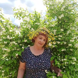 ���� ������, �����������, 72 ���� - ��������� 28 ���� 2021