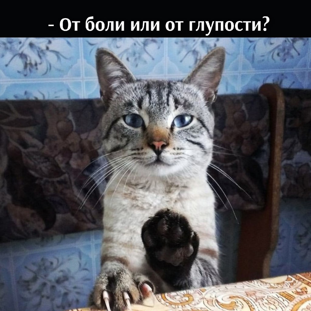      - 10  2021  10:23 - 2