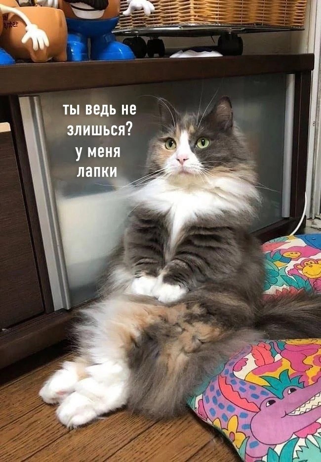    , ,  ... - 2