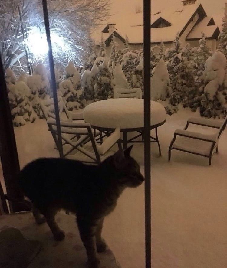  ,    - 4