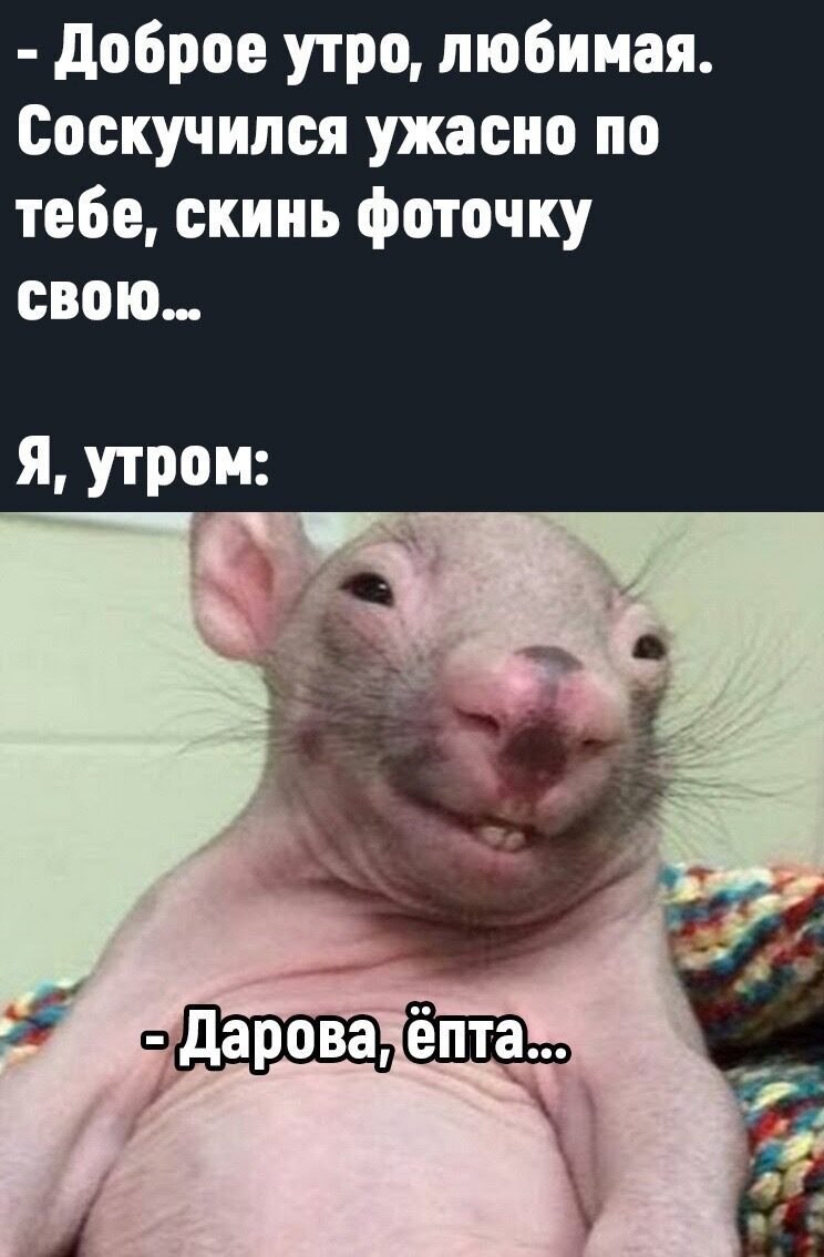 ***Victoria Viktorovna*** - 10  2021  11:07