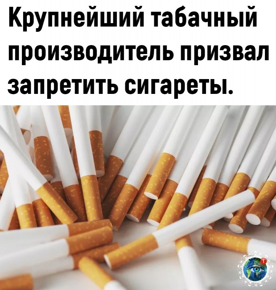 o-o ec eco.