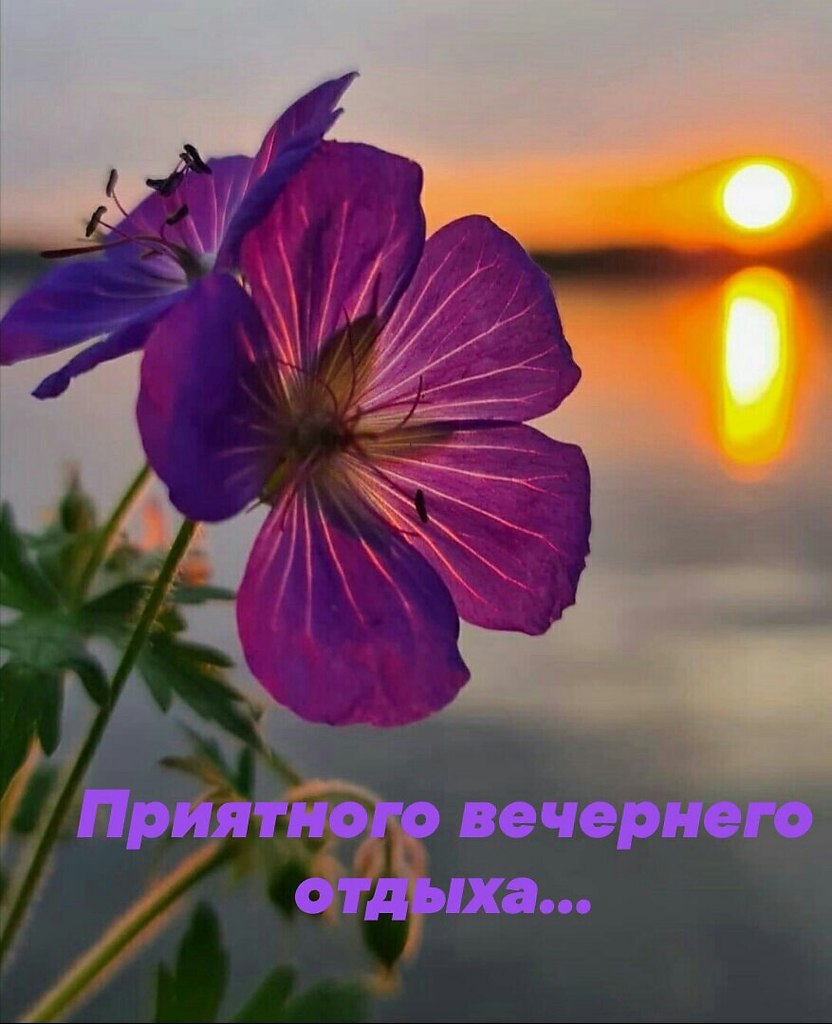   ,    . - 26  2021  19:26 - 7