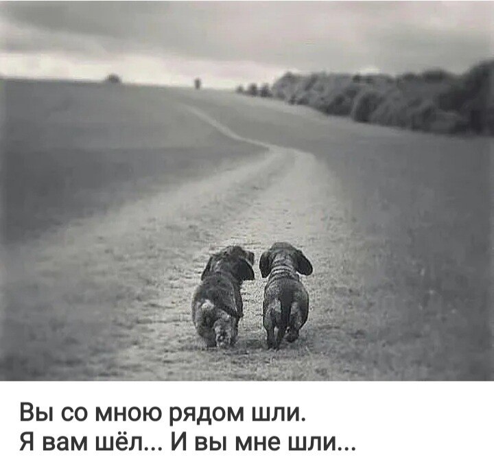 ***Victoria Viktorovna*** - 16  2021  09:33