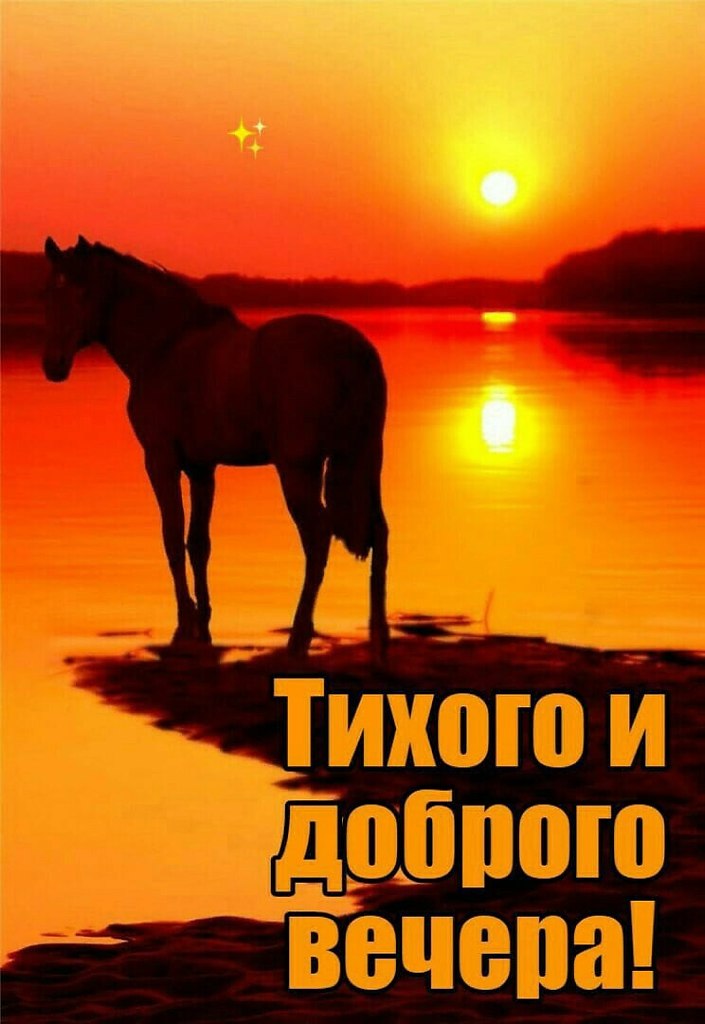   ,    . - 6  2021  18:36 - 8