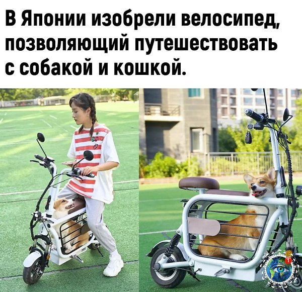   cea eceee!