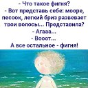 ���� ������, �����-���������, 48 ��� - ��������� 3 ���� 2021 � ������ ������ ��������
