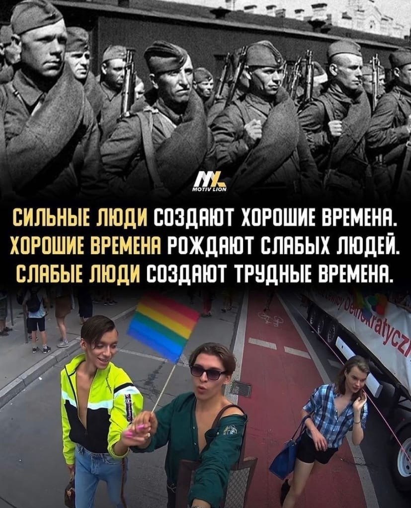 Тяжелые времена рождают сильных котят