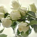 ���� �����, ������, 56 ��� - ��������� 8 ������ 2021 � ������ �������� ����