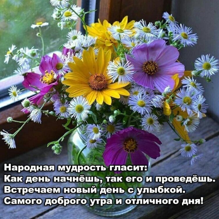   ,    . - 6  2021  21:53