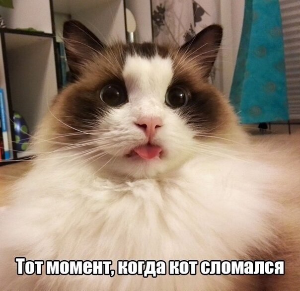    - 25  2021  23:21