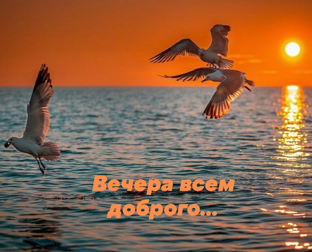   ,    . - 26  2021  19:26 - 10