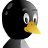  Pinguin, -, 22  -  29  2021