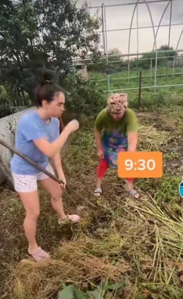    - 3