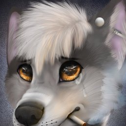 �����!#, �����-���������, 58 ���