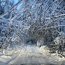 ���� �����, �����-��������� - ��������� 12 ������� 2021 � ������ ���� ����������
