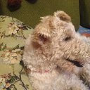 ���� �������, ��������, 75 ��� - ��������� 19 ���� 2021 � ������ ���� ����������