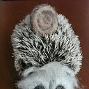 ���� ������, ������ - ��������� 29 ���� 2021 � ������ ������ ��������