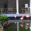 ���� ����, ������ - ��������� 1 ������� 2022 � ������ ���� ����������