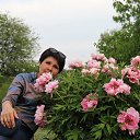  ,  , 53  -  22  2021    