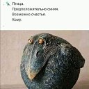  , , 69  -  30  2021    
