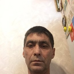 , 52 , 